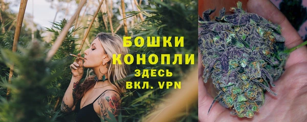 мяу мяу мука Баксан