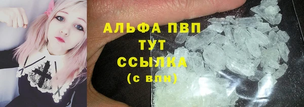 мяу мяу мука Баксан