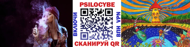 Галлюциногенные грибы Cubensis  Тулун 